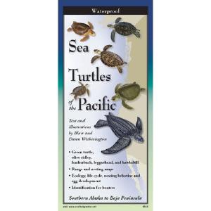 Sea Turtles of the Pacific - Folding Guide Cheap Sale Eastbay