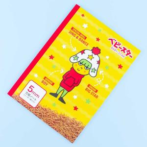 Baby Star Ramen Grid Notebook Low Pice For Sale