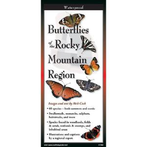 Butterflies of the Rocky Mountains - Folding Guide Free Shipping Big Discount