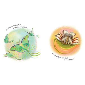 An Extraordinary Ordinary Moth Free Shipping Eastbay