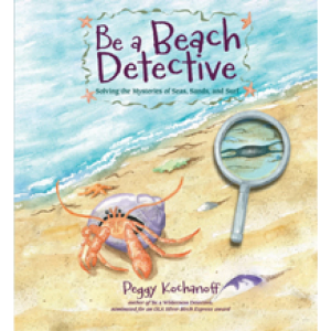 Be a Beach Detective Free Shipping For Nice
