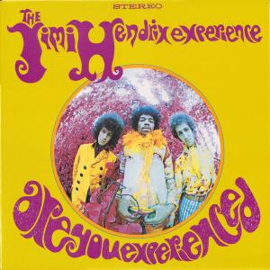 Are You Experienced Explore