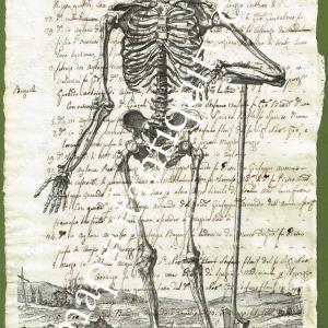 Skeleton (Reproduction on Antique Paper) Amazon For Sale