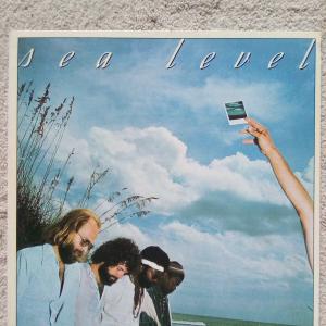 Sea Level Cheap Pice Low Shipping Fee