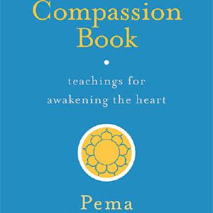 The Compassion Book Free Shipping 100% Original
