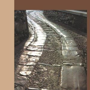 The Noble Eightfold Path: Way to the End of Suffering Free Shipping Big Discount