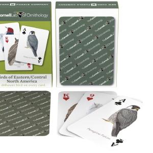 Birds of Eastern/Central North America Playing Cards Cheap Pice Original