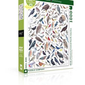 Birds of Eastern/Central North America Free Shipping Low Cost