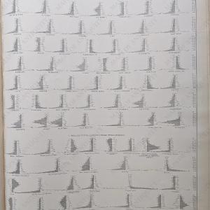 1874 - Chart Showing the Distribution by Age and Sex of the Deaths occurring during the Census Year ending June 1st. - Antique Map Cheap For Cheap