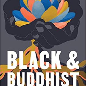 Black and Buddhist: What Buddhism Can Teach Us about Race, Resilience, Transformation, and Freedom Fashion Style Online