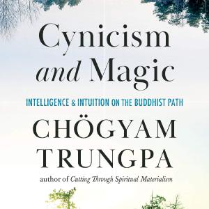 Cynicism and Magic: Intelligence and Intuition on the Buddhist Path Outlet Great Deals