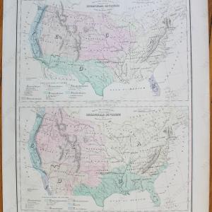 1881 - Gray's Botanical and Zoological Maps of the United States - Antique Map Buy Cheap Affordable