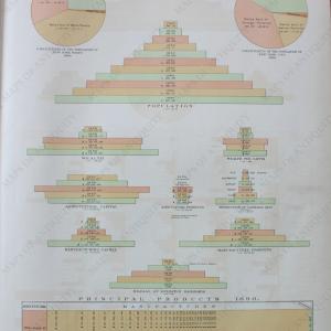 1895 - Statistics, New York State - Antique Map Discount