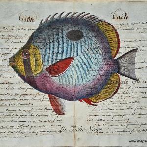 La Tache Noire (Reproduction on Antique Paper) Free Shipping Cheap Pice