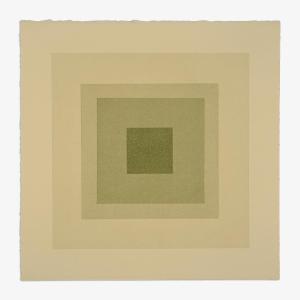 Dye Study Ghost, Marigold, Indigo & Iron Sale Online Shop