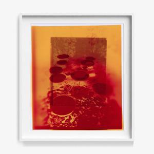 Reflection in Us Reliable Sale Online