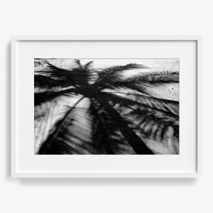 Palm Shadow Cheap Sale Supply