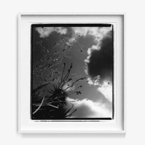 Mirror in Me Buy Cheap Find Great