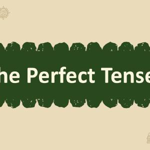 Quick Spanish Grammar Presentation  Perfect Tenses Safe Shopping Cheap Online