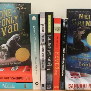 Middle School Differentiated Book Bundle Clearance Online Amazon