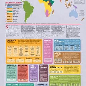 Language Families of the World Infographic Order