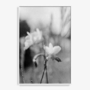 A Kiss to You Towards the Setting Sun 29 In China Sale Online