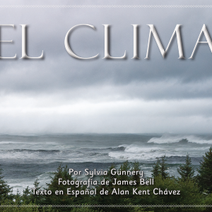 El clima - Elementary - Spanish Reader High Quality Cheap Pice