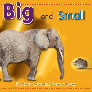 Big and Small - Elementary English Cheap Sale With Paypal