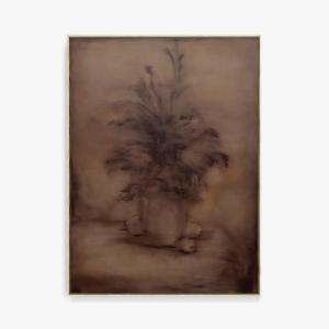 Still Life XIV Collections