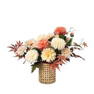 Wild and Free Largest Supplier For Sale