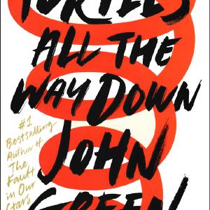 Turtles All the Way Down (840L) Outlet Purchase