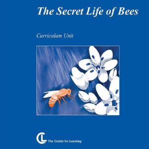 The Secret Life of Bees Curriculum Unit Outlet Largest Supplier
