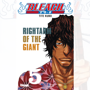 Bleach - Tome 05 Wholesale Pice For Sale