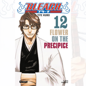 Bleach - Tome 12 Free Shipping Manchester