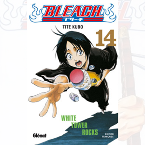 Bleach - Tome 14 100% Authentic For Sale