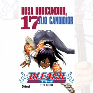 Bleach - Tome 17 Cheap Sale Really