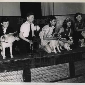 1940 Press Photo Dog show, Chiamello,McLaughlin,Obediser,Thomas,Colombo Discount With Mastercard