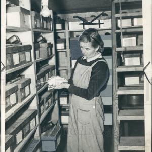 1942 Cancer Researcher Dunning Press Photo Outlet Great Deals