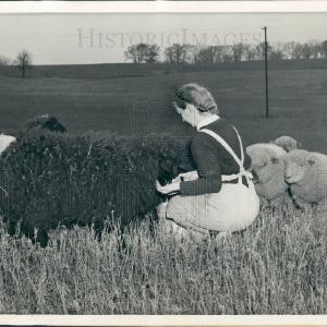 1942 Cancer Researcher Dunning Press Photo Visit Cheap Pice