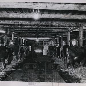 1944 Press Photo Kalinin peasent Women in Russia Recommend For Sale