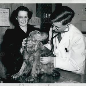1942 Press Photo Cocker Spanel Breeders' Club Discount Largest Supplier