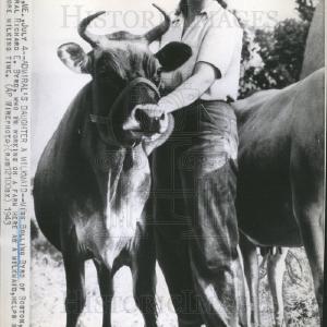 1943 Press Photo Miss Bolling Byrd daughter Admiral Richard Byrd milkmaid farm Sale Pre Order