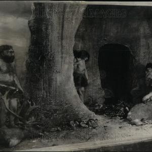 1929 Press Photo Field Museum Of Natural History Big Sale