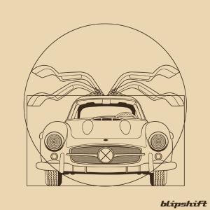 Anatomy of a Gull The Cheapest For Sale