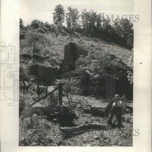 1945 Press Photo Wood Chopping Person Trees Forest Discount Cheap Online