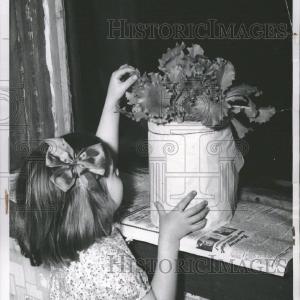 1949 Press Photo Betty Glass Lettuce Asteraceae Salads Footlocker Pictures Sale Online