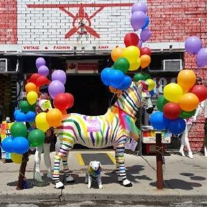 Another Rainbow ZEBRA!!! Hot Sale