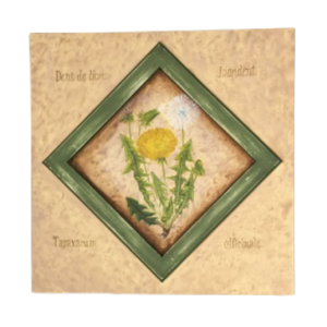 DENT de LION E-Pattern By Barbara Bunsey Cheap Explore