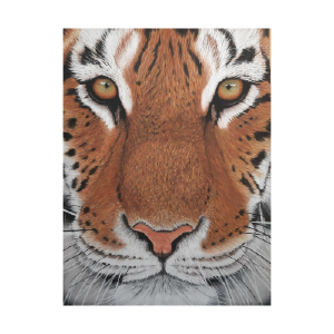 The Look of the Tiger E-Pattern Cheap New Arrival