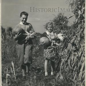1949 Press Photo Children Pumpkin Patch Stalks Fall Cheap Sale Genuine